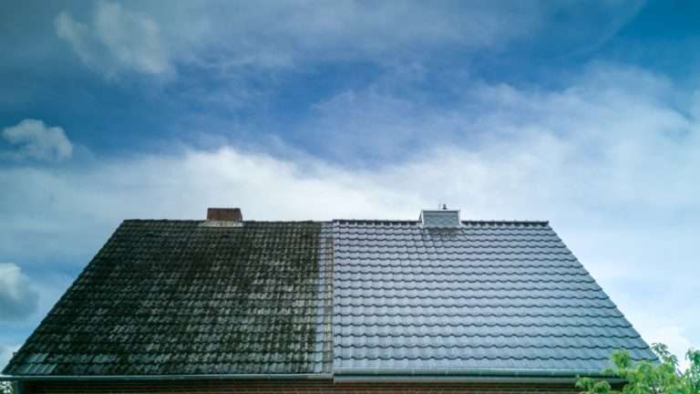 Roofclean1